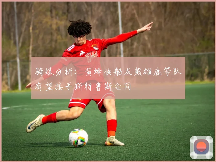 骑媒分析：黄蜂快船灰熊雄鹿等队有望接手斯特鲁斯合同